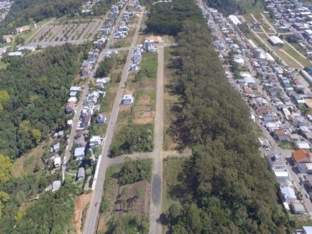 #069 - Terreno para Venda em Bento Gonçalves - RS - 2