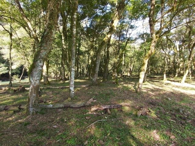 #096 - Área de terras para Venda em Bento Gonçalves - RS - 2