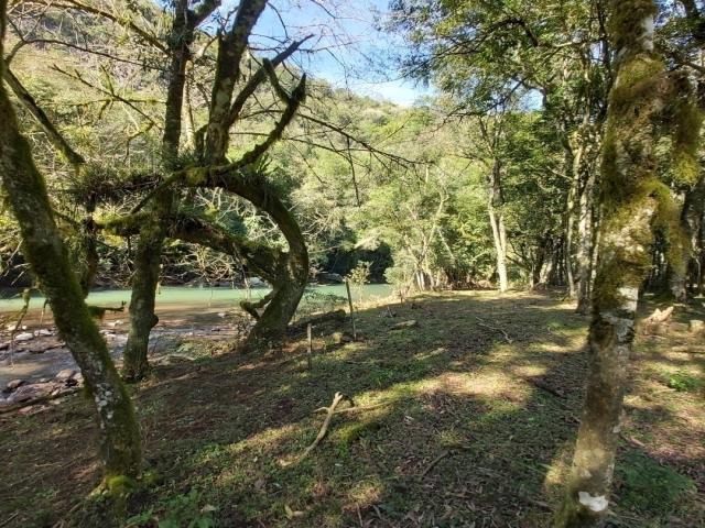 #096 - Área de terras para Venda em Bento Gonçalves - RS - 3