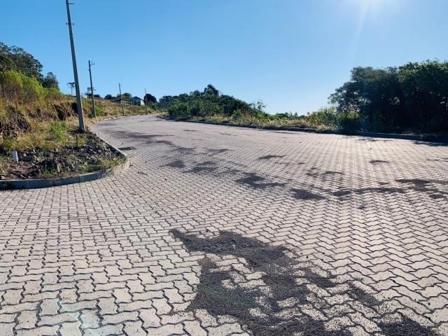 Terreno para Venda em Bento Gonçalves - 5