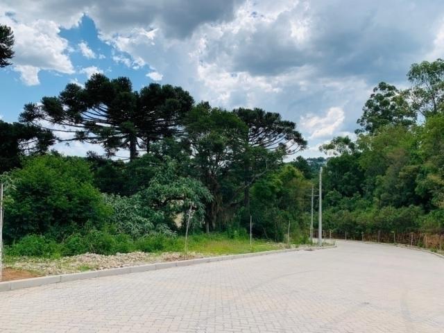 Terreno para Venda em Garibaldi - 5