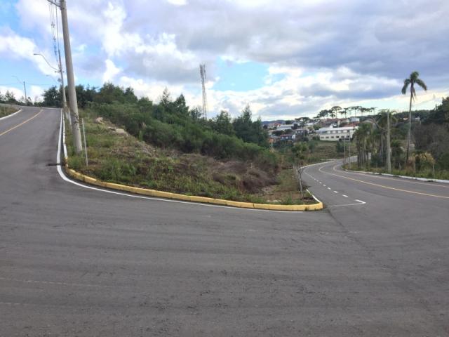 Terreno para Venda em Garibaldi - 5