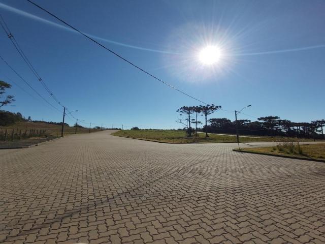 Venda em Borghetto - Garibaldi