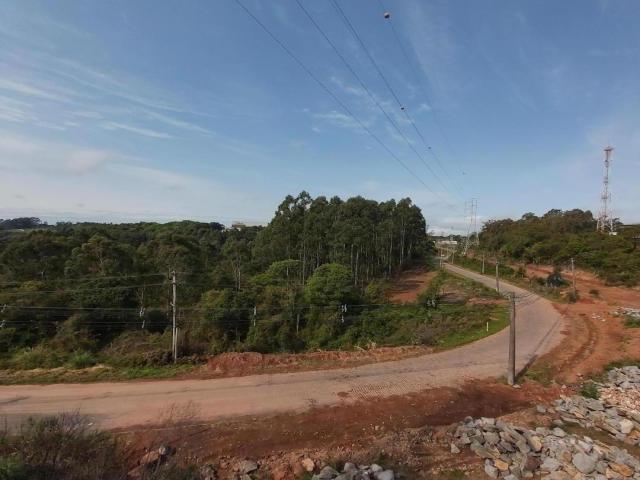 #127 - Empresa para Venda em Garibaldi - RS