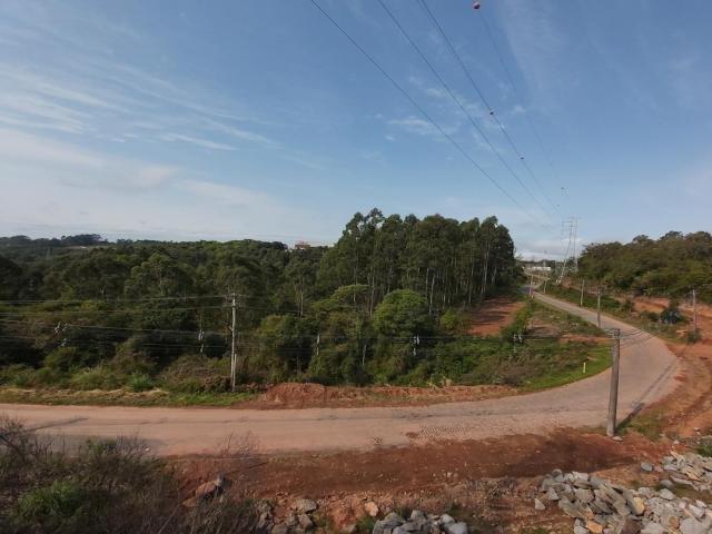 #127 - Empresa para Venda em Garibaldi - RS