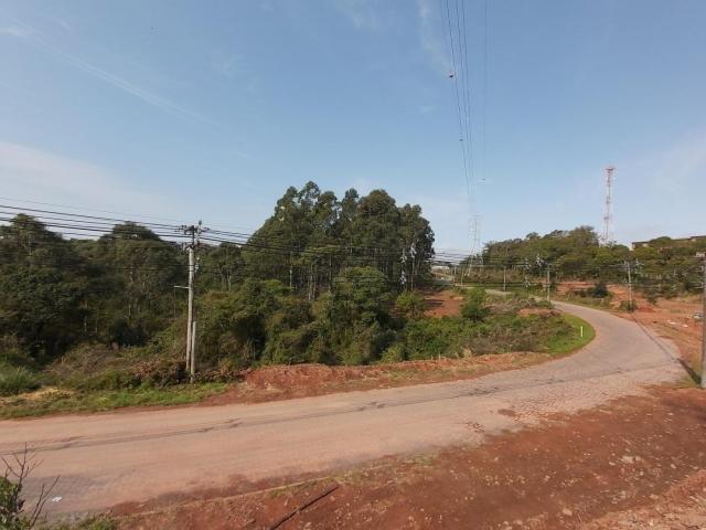 #127 - Empresa para Venda em Garibaldi - RS