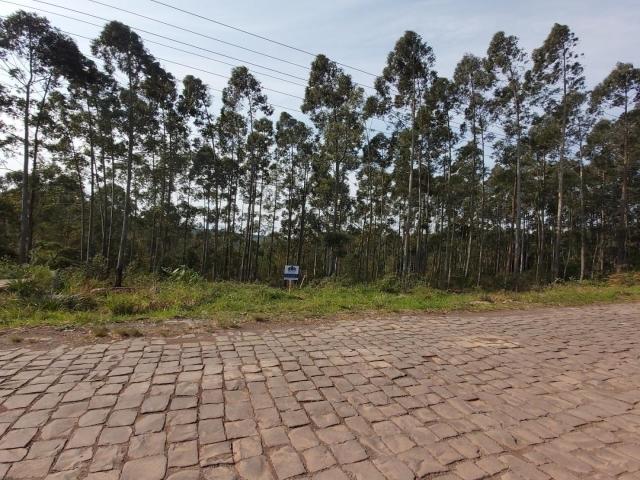 Empresa para Venda em Garibaldi - 4