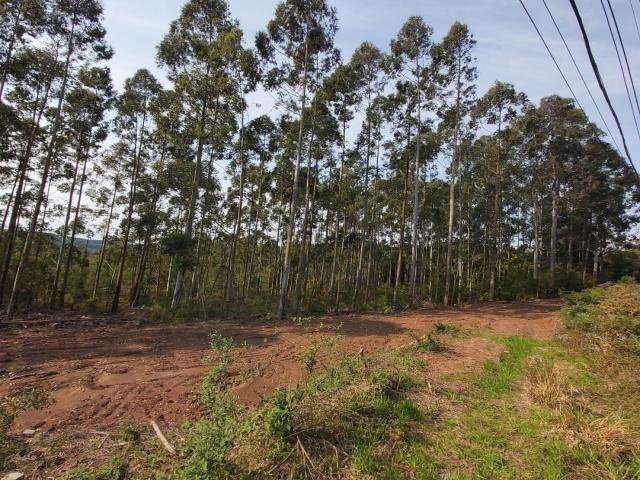 Empresa para Venda em Garibaldi - 5