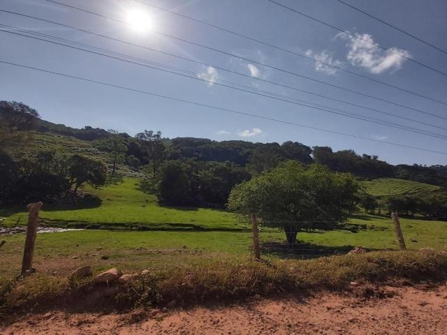 Área de terras para Venda em Pinto Bandeira - 4