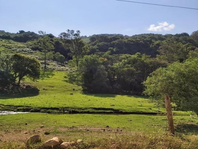 Área de terras para Venda em Pinto Bandeira - 5