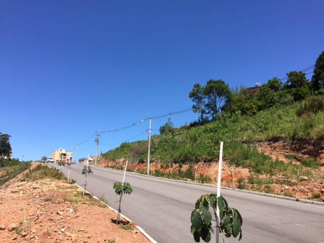 #194 - Área para Venda em Bento Gonçalves - RS - 1
