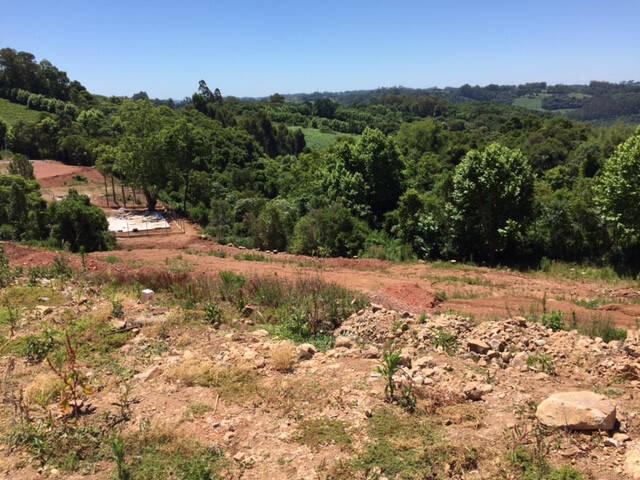 Área para Venda em Bento Gonçalves - 4