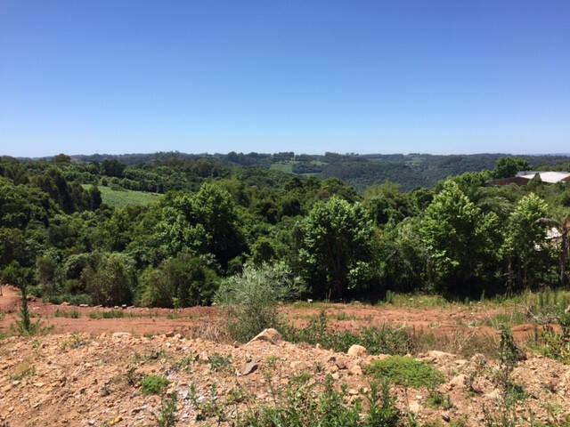 Área para Venda em Bento Gonçalves - 5