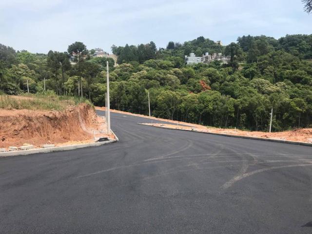 Área para Venda em Bento Gonçalves - 5