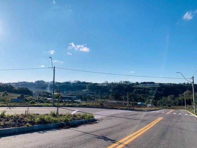 Área para Venda em Bento Gonçalves - 5
