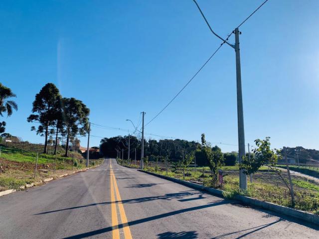 Área para Venda em Bento Gonçalves - 4