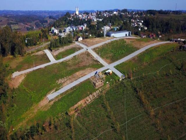 #247 - Área para Venda em Monte Belo do Sul - RS - 3