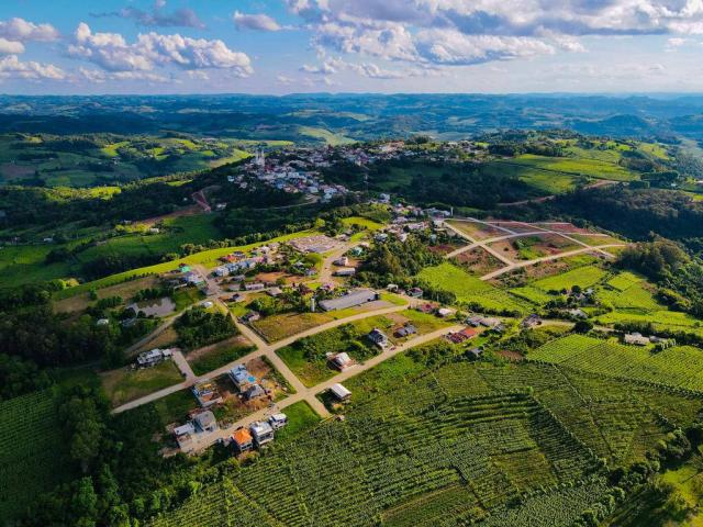 #247 - Área para Venda em Monte Belo do Sul - RS - 1