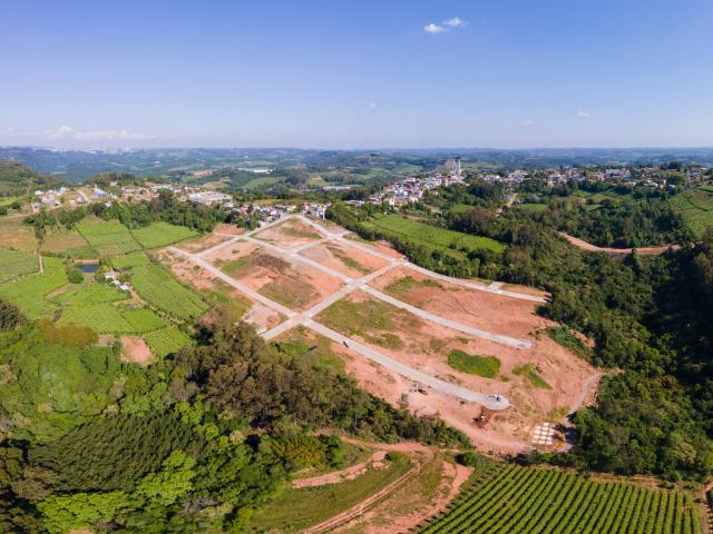 #248 - Área para Venda em Monte Belo do Sul - RS - 3