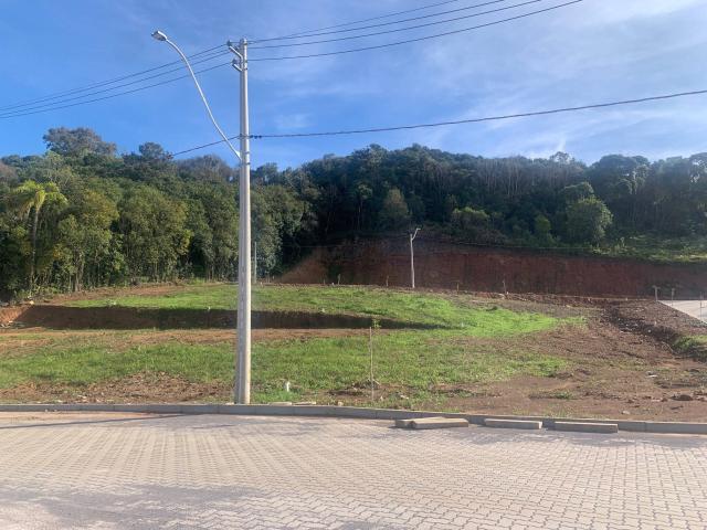 #285 - Área para Venda em Bento Gonçalves - RS - 3