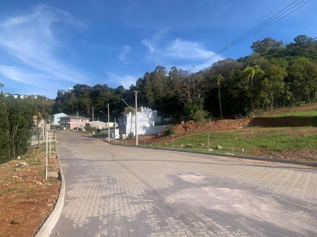 Área para Venda em Bento Gonçalves - 5