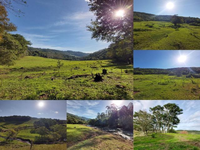 #151 - Área de terras para Venda em Bento Gonçalves - RS - 2