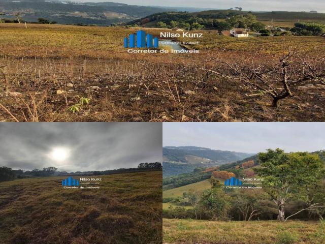 #155 - Área de terras para Venda em Pinto Bandeira - RS - 3