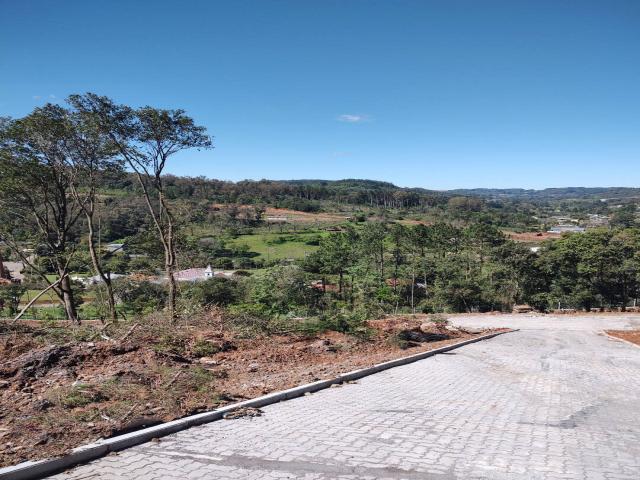 Área para Venda em Bento Gonçalves - 5
