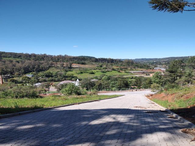 #295 - Área para Venda em Bento Gonçalves - RS - 2