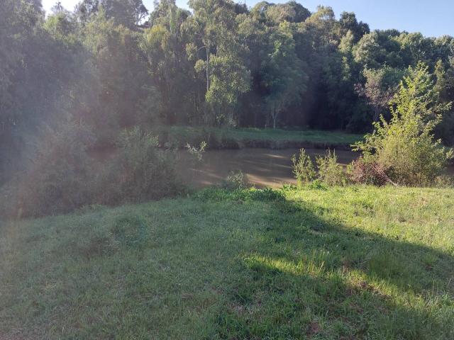 #300 - Área de terras para Venda em Garibaldi - RS - 3