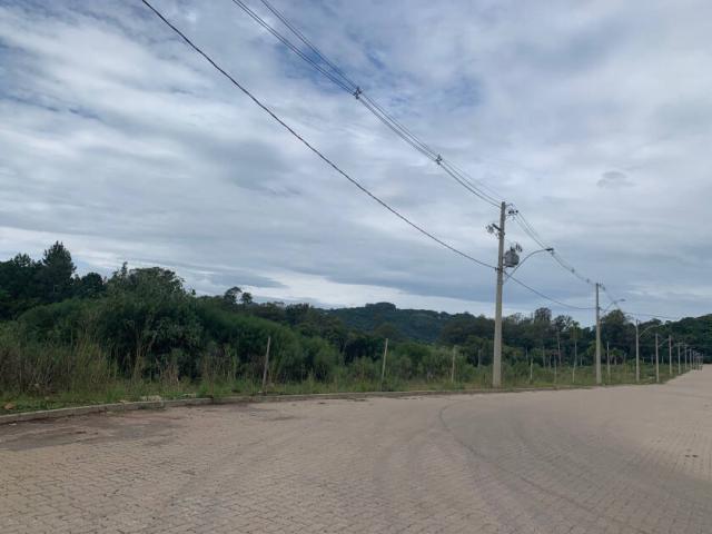 Área para Venda em Bento Gonçalves - 4