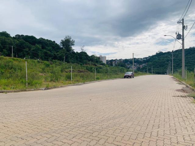 Área para Venda em Bento Gonçalves - 5
