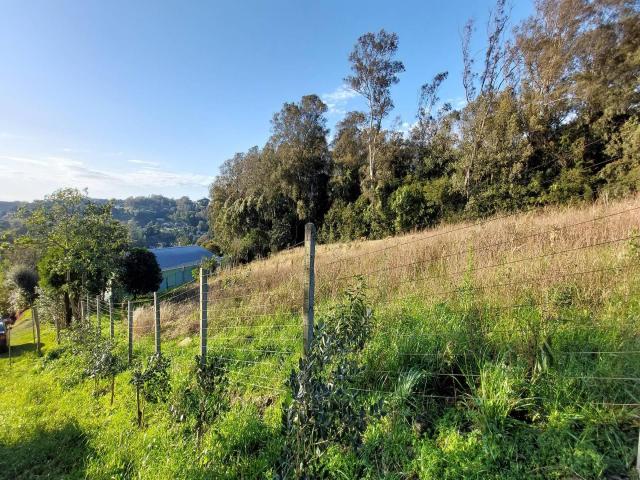#313 - Área de terras para Venda em Bento Gonçalves - RS - 1