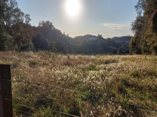 #313 - Área de terras para Venda em Bento Gonçalves - RS - 2