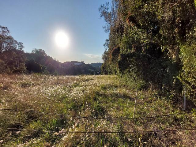 #313 - Área de terras para Venda em Bento Gonçalves - RS - 3