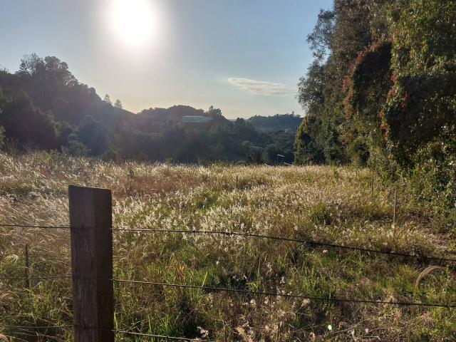 Área de terras para Venda em Bento Gonçalves - 5