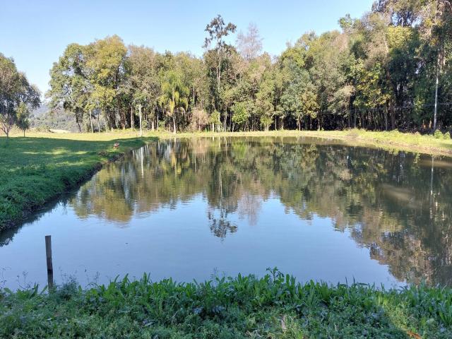 #310 - Sítio para Venda em Coronel Pilar - RS - 1