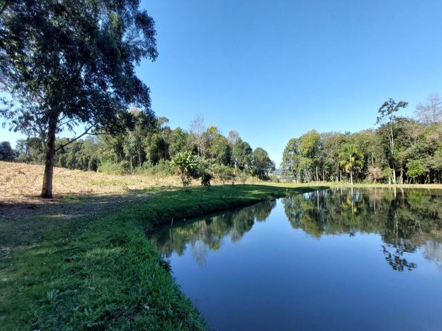 #310 - Sítio para Venda em Coronel Pilar - RS - 3