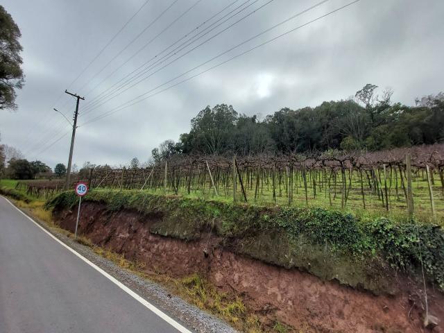 #309 - Área de terras para Venda em Garibaldi - RS - 3