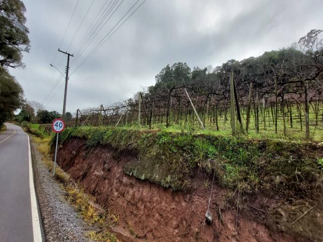 #309 - Área de terras para Venda em Garibaldi - RS - 1
