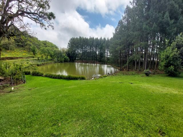 #316 - Chácara para Venda em Farroupilha - RS - 1