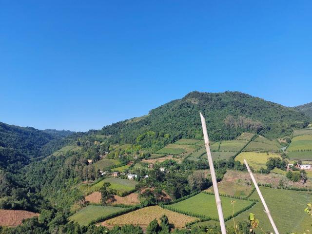 Chácara para Venda em Bento Gonçalves - 4