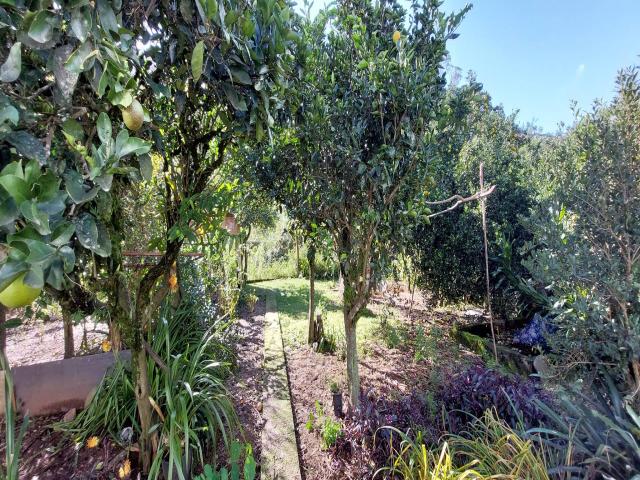 Casa para Venda em Bento Gonçalves - 5