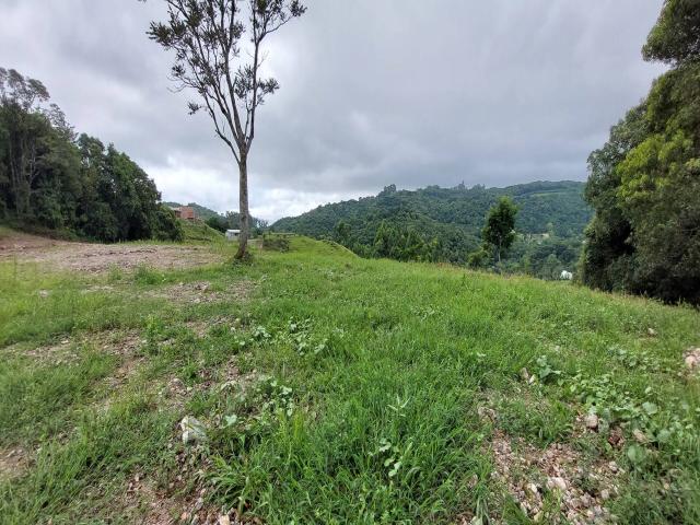 #321 - Chácara para Venda em Garibaldi - RS - 2