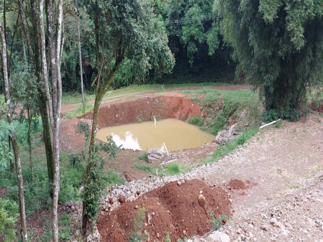 #321 - Chácara para Venda em Garibaldi - RS - 3